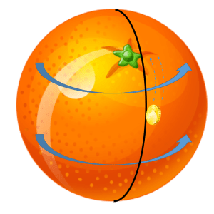 Orange polar