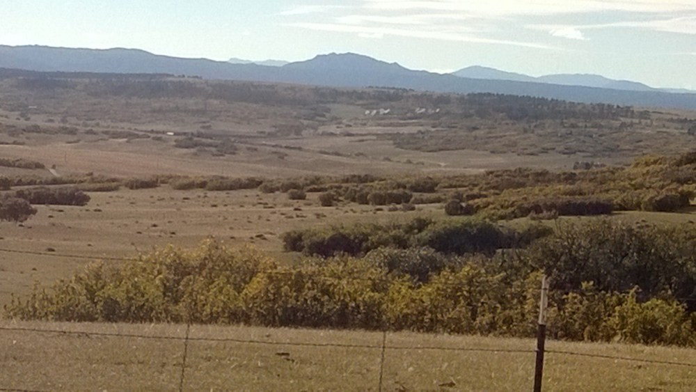 WP_20131008_16_02_39_Pro