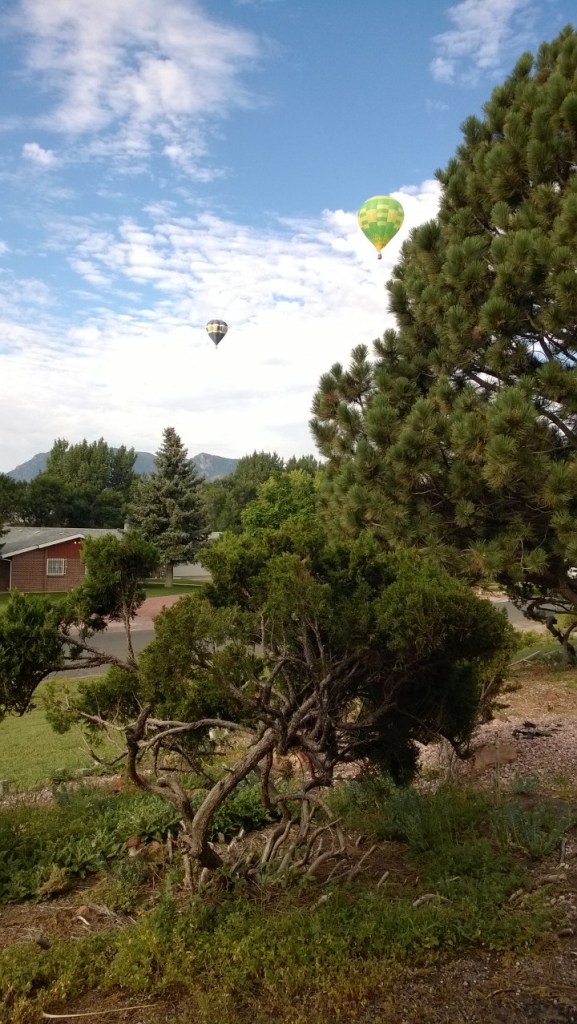 WP_20130831_08_30_40_Pro